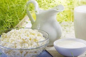 Молочный гриб, полезные свойства этого продукта